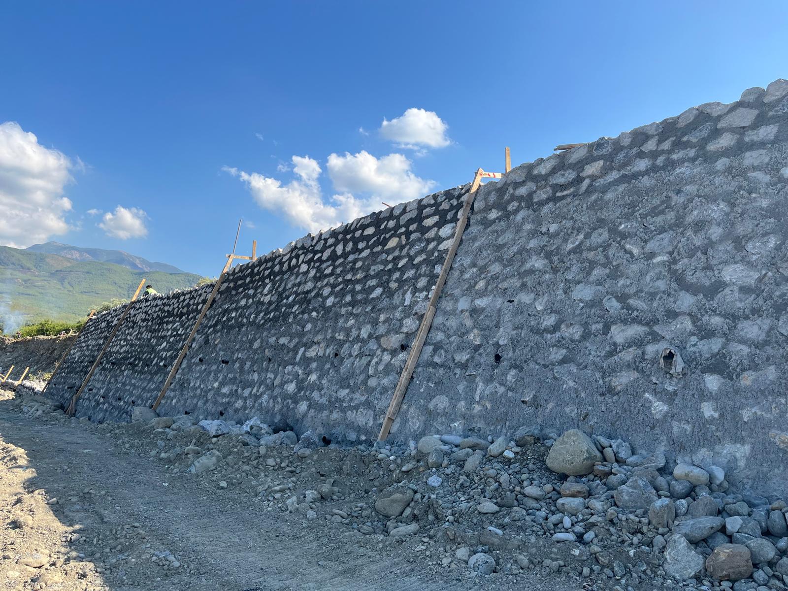 proje